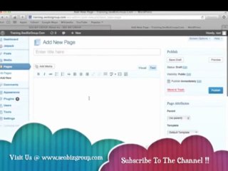How To Install Exclude Pages Plugin To WordPress - SEO Biz Group