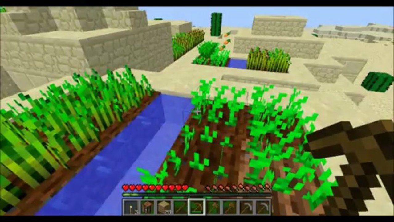 Minecraft aventure survie ep 2:PILLAGE!