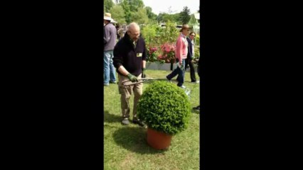 Démonstation de taille de buis en boule par Jean-Luc Eychenne