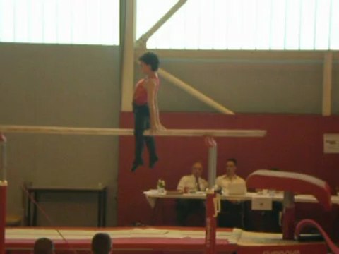 Noah aux barres parallèles