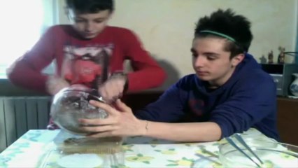 [La Cucina di MrBabbo]  La Cheese Cake A Modo Mio