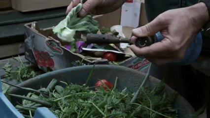 Syctom ou compostum ?