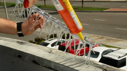How to install bird spikes