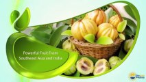 Pure Garcinia Cambogia Extract HCA for Weight Loss - Garcini