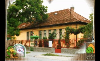 Slideshow II. (Balázs Fecó és barátai - Ártatlan világ)