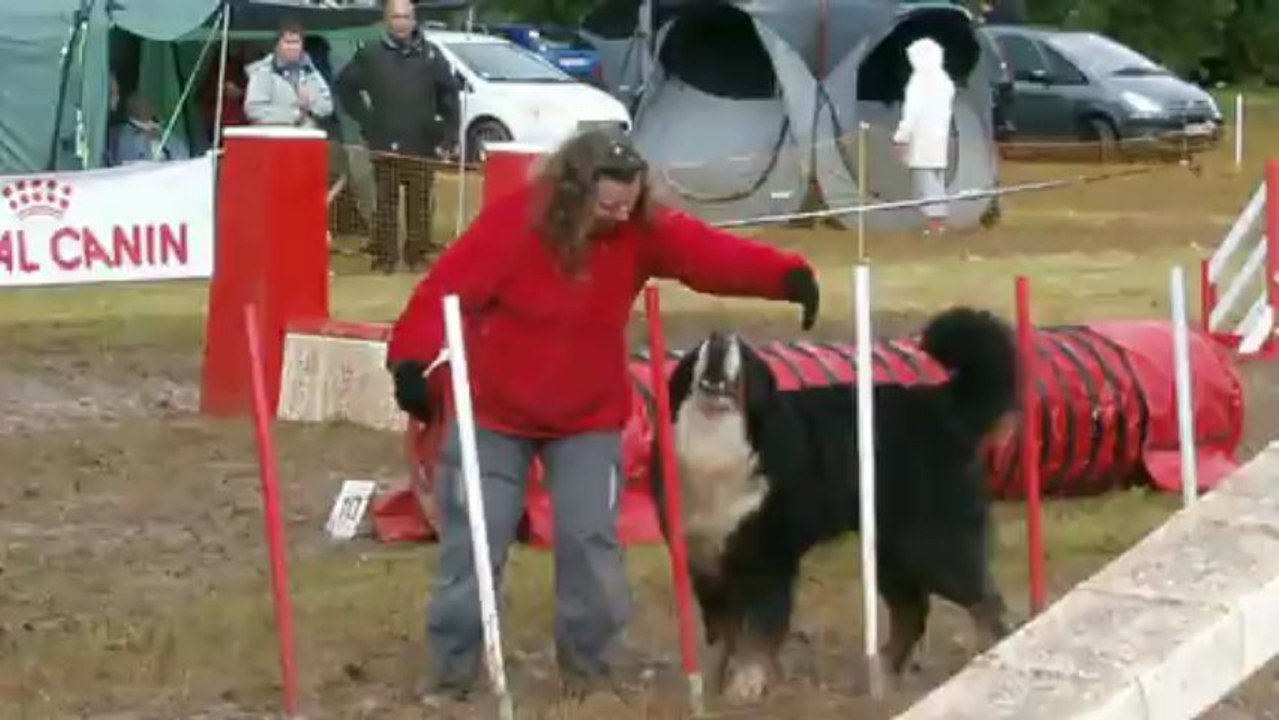 DJ ST GERMAIN DES BOIS