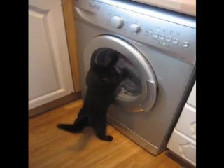 Robocop versus the washing machine