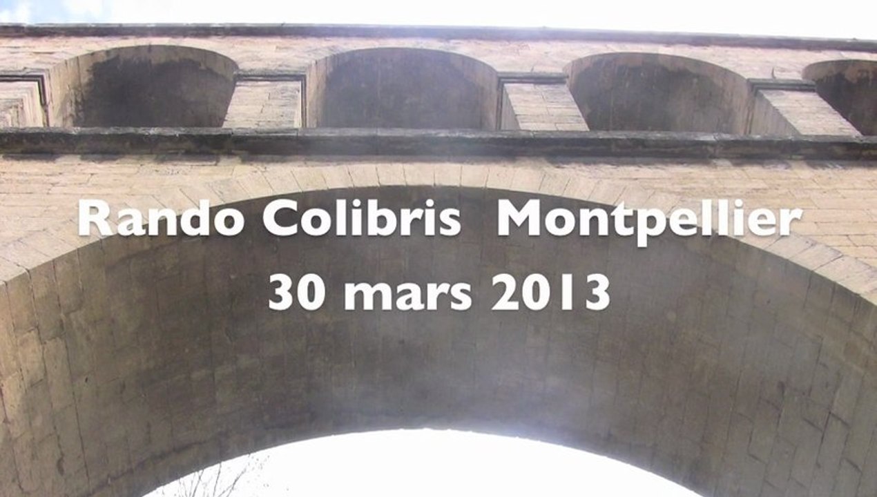 ColibrisGeneriqueRando