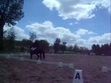 DRESSAGE Chmpt Dptal 2012 Bazoges - Hermine du chigny