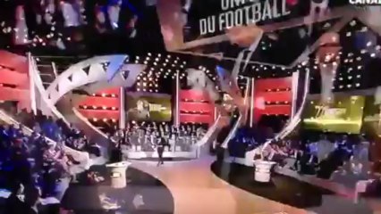 Zlatan Ibrahimovic meilleur joueur de Ligue 1