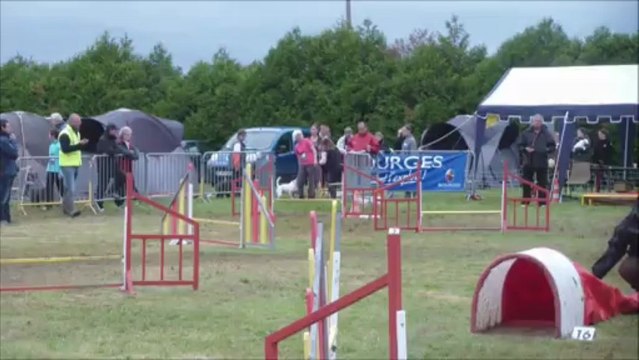 Mes Staffies Trophée Ouest 2013