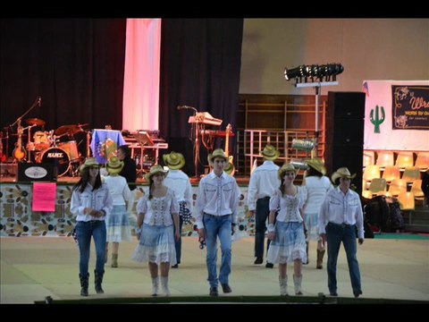 FESTIVAL SAUZE VAUSSAIS_0001