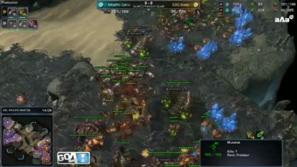Zylcu vs Soey - Go4SC2 20.05.13 - Starcraft 2