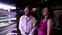 AMB Eco Brings Hydroponic Gardening Into Restaurants - GeekBeat.TV