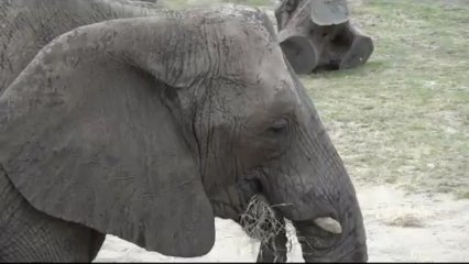 Gas meter,Gas Flowmeter,diaphragm gas meter,prepaid gas meter