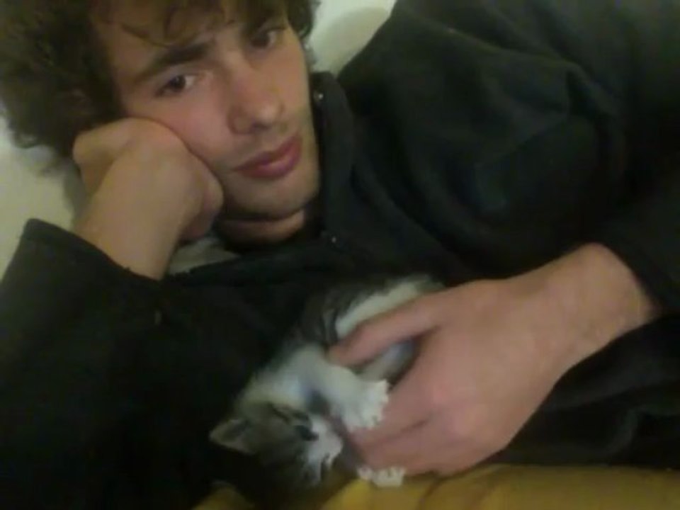 Bollos, mon tit chat