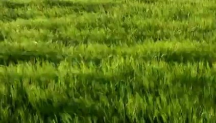 Gas meter,Gas Flowmeter,diaphragm gas meter,prepaid gas meter