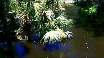 Gas meter,Gas Flowmeter,diaphragm gas meter,prepaid gas meter