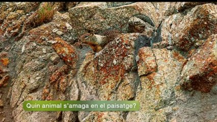 Espai Terra - dilluns 20 de maig