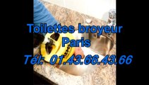 Toilettes broyeur Paris Tél: 01.43.66.43.66