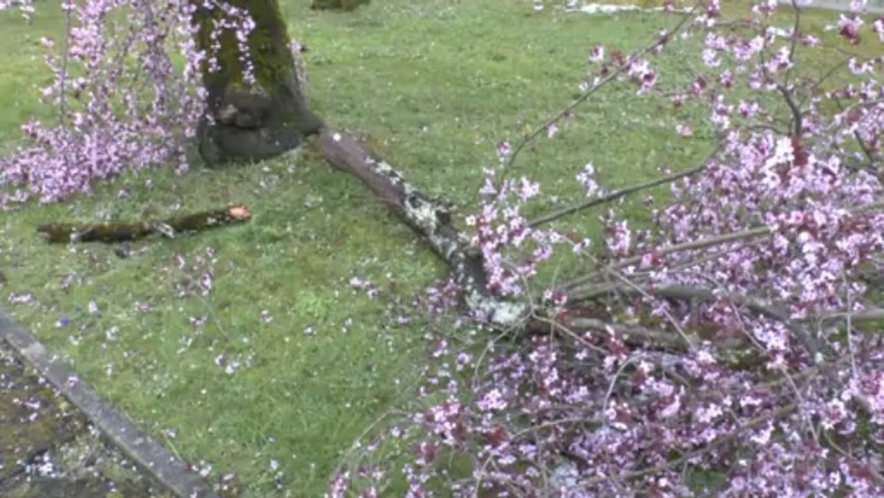 LES W-D.D. MICHOU NEWS - 14 MARS 2013 - NOCTURNE SUR LE CHANTIER DU STADE NAUTIQUE.