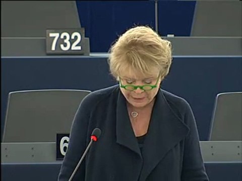 Eva Joly sur l'évasion fiscale (21/05/2013)