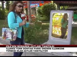 ZİLE NİN MÜBAREK ZATLARI