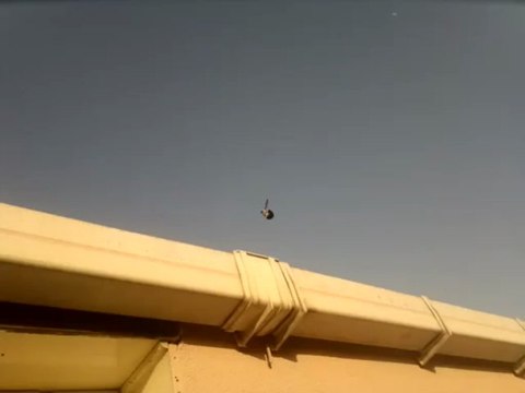 ferdi bayrak sefer kuşları mavi iniş 05354829474