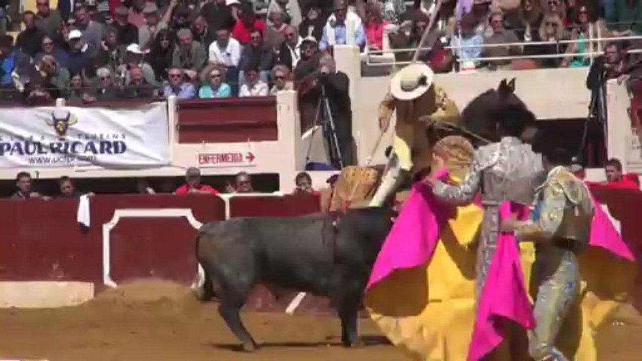 CORRIDA CONCOURS DE VIC : LES TOROS DE LA QUINTA