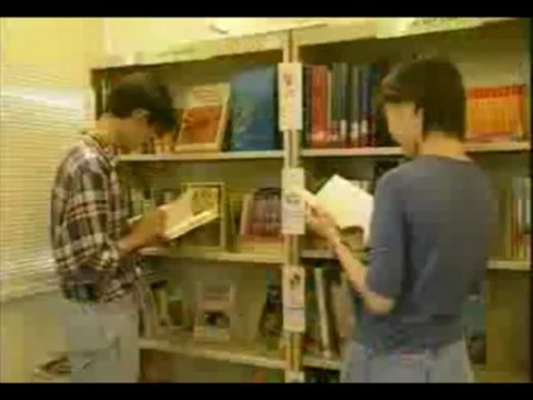 IELTS guidance & counselling