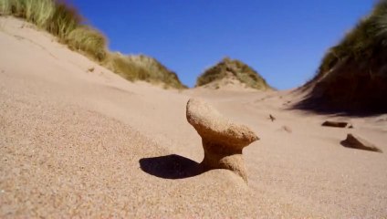 Why this lack of respect for nature - Balmedie - Scotland