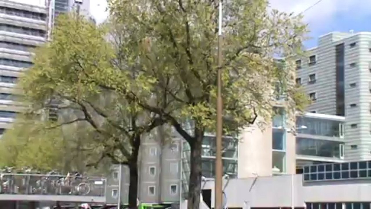 Norwegian Breakaway Kreuzfahrten DIE Fellas Hubert Fella USA Kreuzfahrten