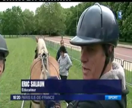 Championnats de France d'Équitation Sport Adapté