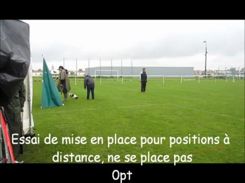 2013.05.18 - SAINTES - Concours d'Obéissance - Classe I - ENGIE - Shitzu -