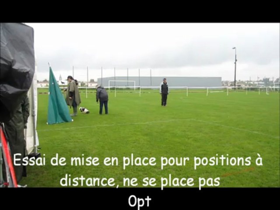 2013.05.18 - SAINTES - Concours d'Obéissance - Classe I - ENGIE - Shitzu -