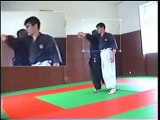 ude kake koshi nage