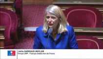 Joëlle Garriaud-Maylam, Sénateur représentant les français établis hors de France : Litiges familiaux transfrontaliers