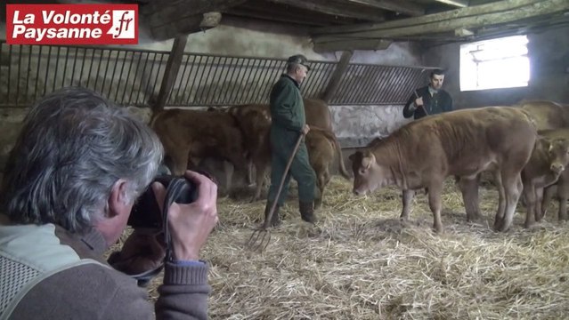 Veau d'Aveyron et du Ségala : expo-photos pour les 20 ans