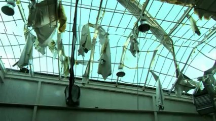 Woman reunited with dog amid tornado wreckage