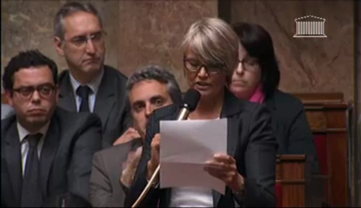 Véronique Massonneau interroge la Ministre des Droits des Femmes sur la lutte contre l'homophobie