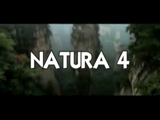 NATURA 4 - WE CAN FLY - COMPO JP