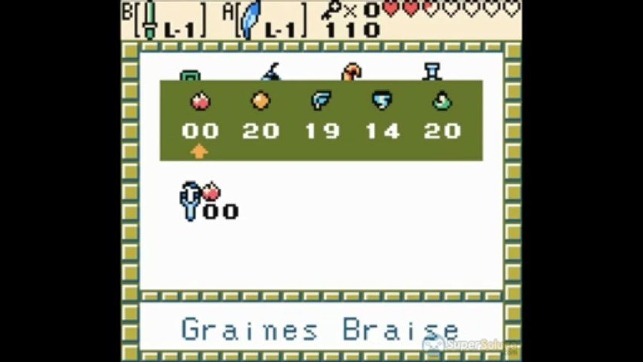 Zelda Oracle of Seasons : Donjon du Dragon dansant