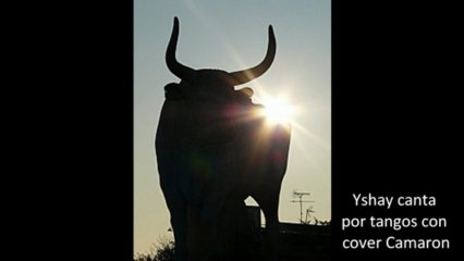Yshay canta por tangos con cover Camaron