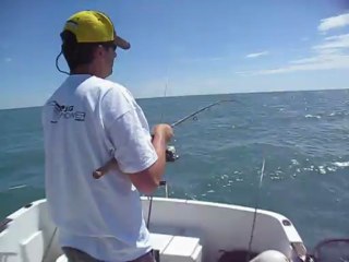 Quand c'est le bazar, c'est le bazar