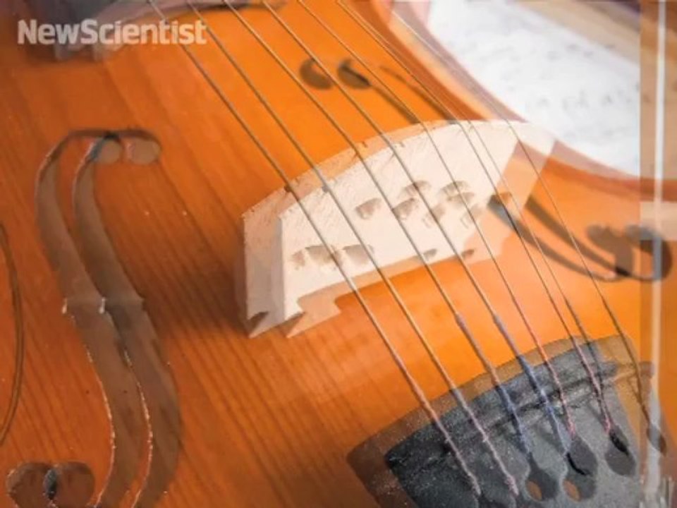 Струны из паутины