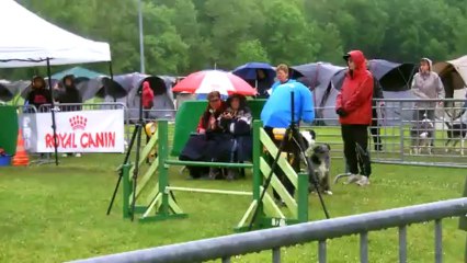 Trophée par équipe 2013 de la tribu de Dana  Jumping du samedi