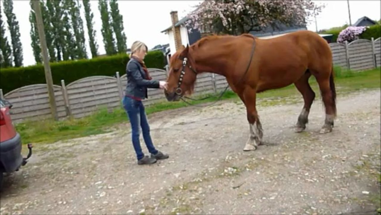 apprentissage recules uno