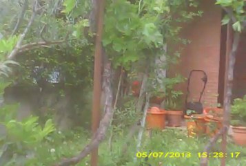 Milù davanti casa - Bottom Spycam