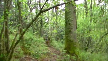 vidéo de chasse au domaine du Maïlou