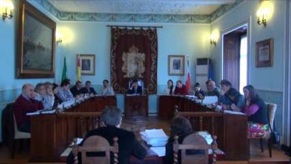 Pleno ordinario 21 de mayo de 2013 2